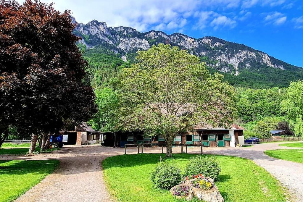 Cosy Family Apartment Reichenau Exterior foto